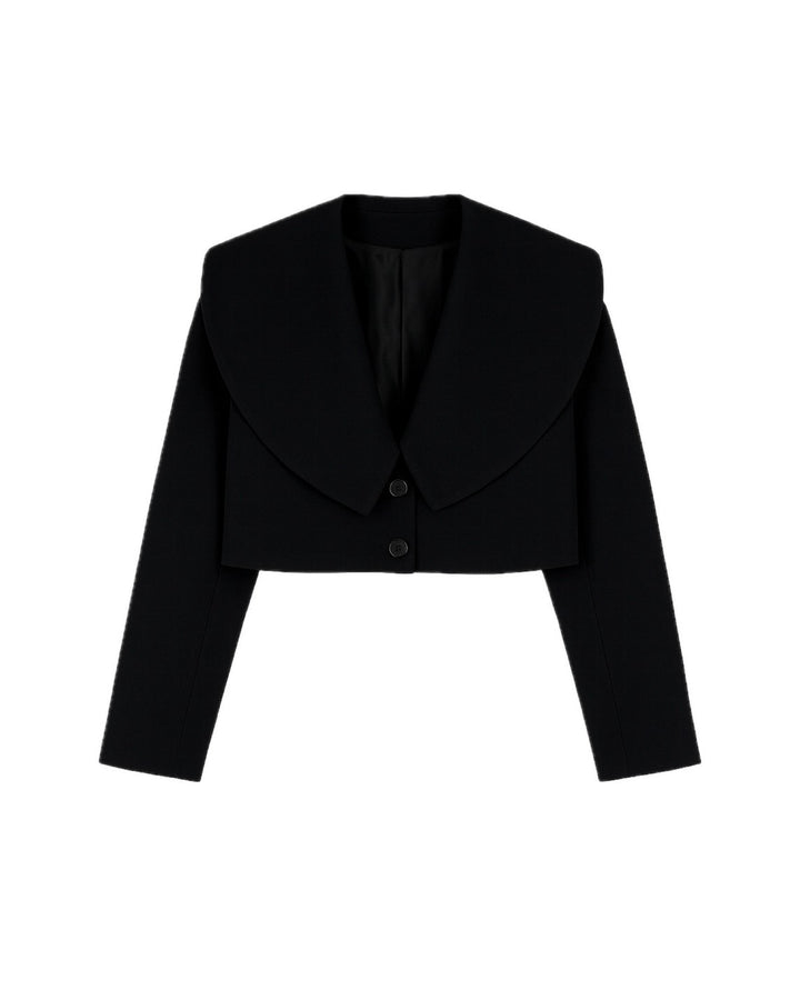 【即日発送】Big collar jacket