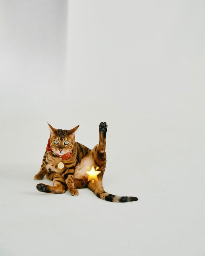 【即日発送】Luxuey sweat tops＆pants