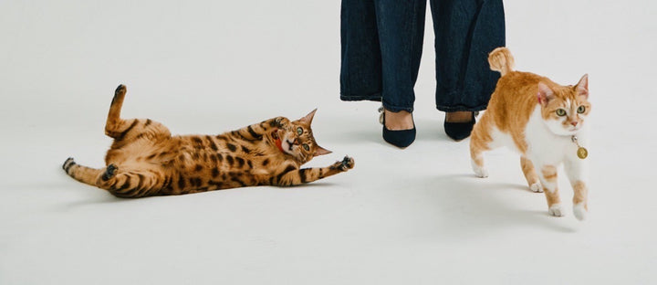 【即日発送】Luxuey sweat tops＆pants