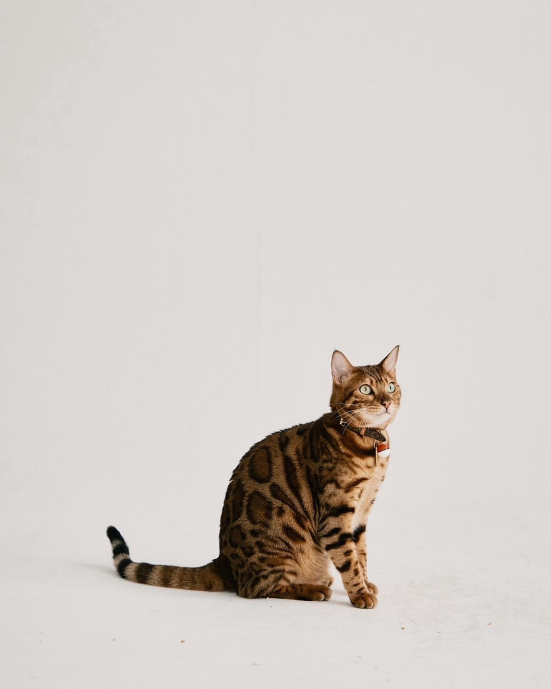 【即日発送】Double-face long coat