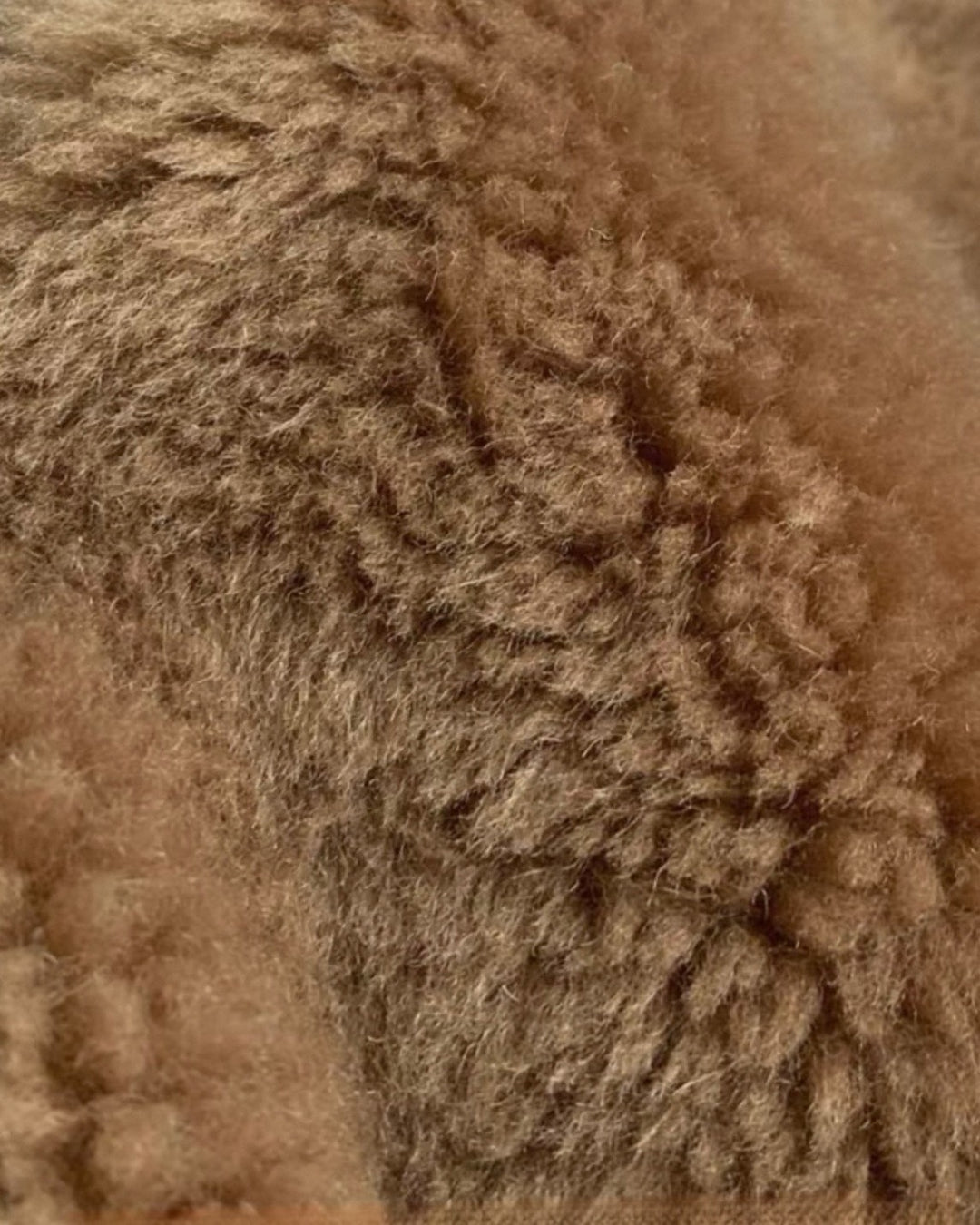 プレミアムテディボアコート